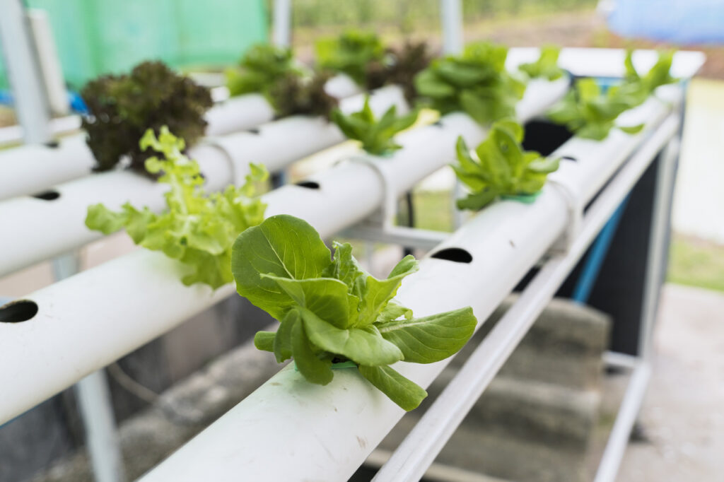 AI gardening