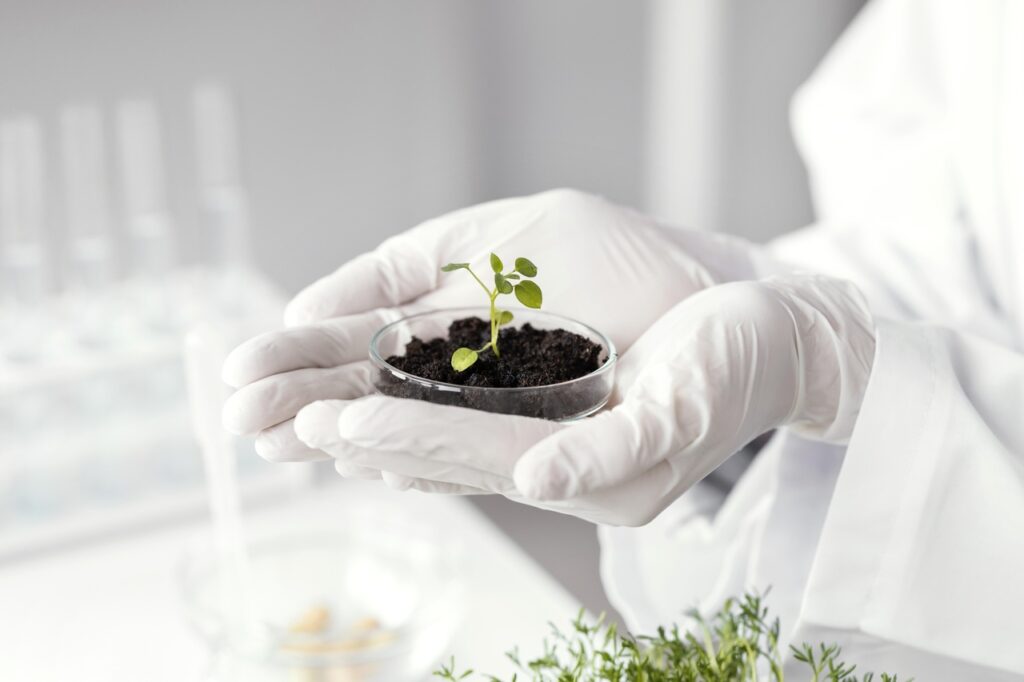 hands holding plant petri dish